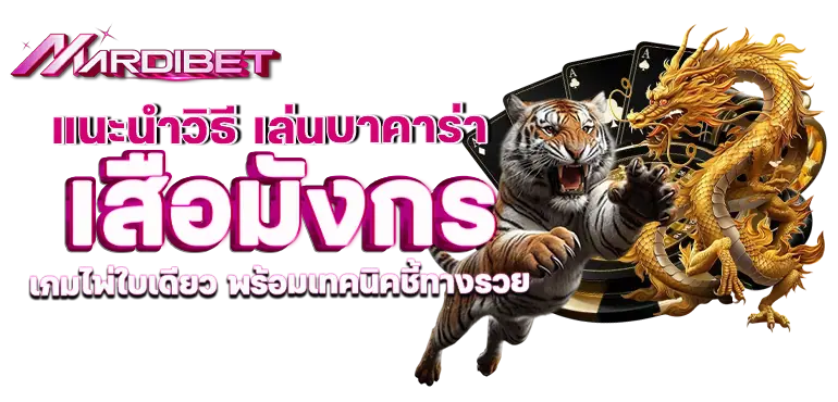 แนะนำวิธี เล่นบาคาร่า เสือมังกร เกมไพ่ใบเดียว พร้อมเทคนิคชี้ทางรวย